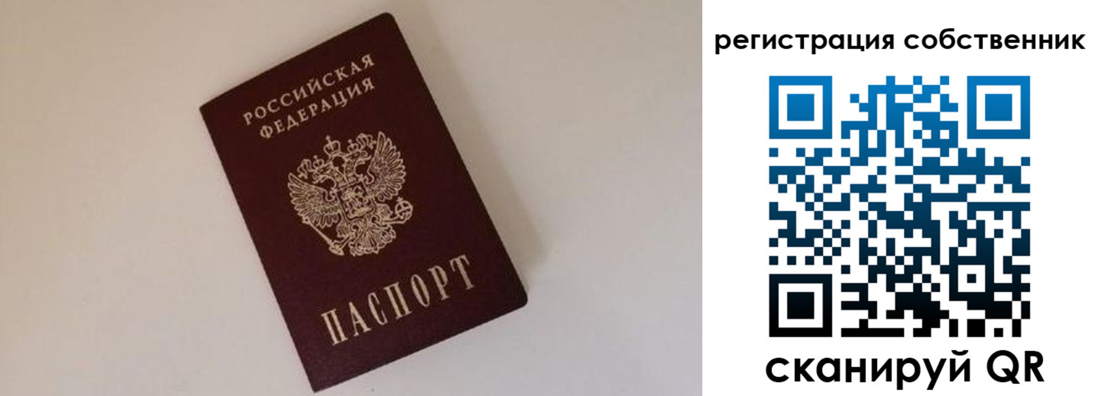 временная регистрация надежно в Курске